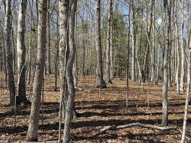 Escape to your own slice of paradise on 61 beautiful acres - photo 25