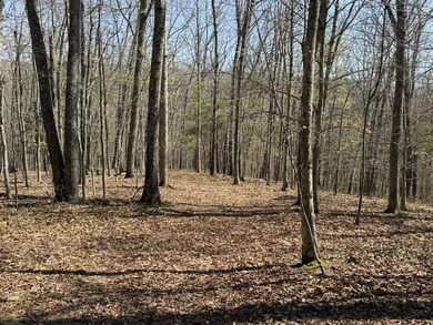 Escape to your own slice of paradise on 61 beautiful acres - photo 26