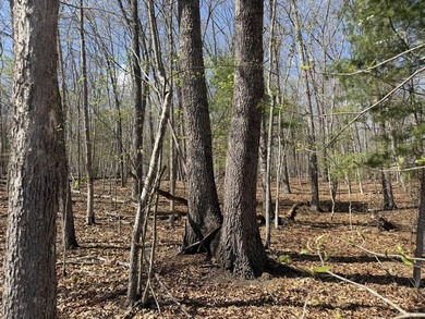 Escape to your own slice of paradise on 61 beautiful acres - photo 27