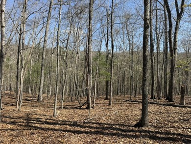 Escape to your own slice of paradise on 61 beautiful acres - photo 29