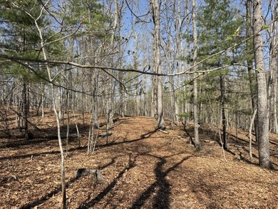 Escape to your own slice of paradise on 61 beautiful acres - photo 31