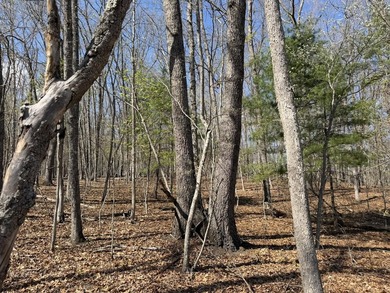 Escape to your own slice of paradise on 61 beautiful acres - photo 34