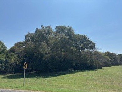 White Bluff is the place to be. This is a great corner lot - photo 34