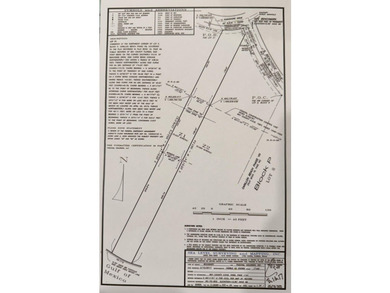 Lot 1 has 49 linear feet on the Gulf of Mexico and is - photo 4