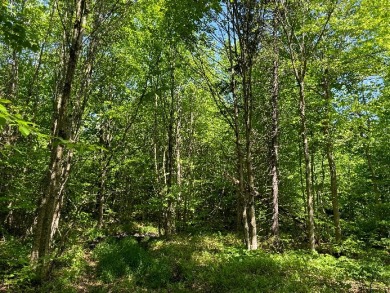 (private lake, pond, creek) Lot For Sale in Lewis New York