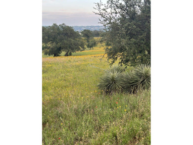 This corner lot is perfect for your dream home. It sits high and - photo 11