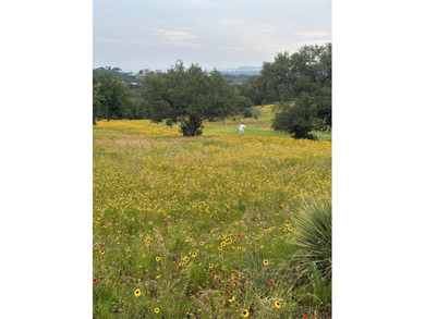 This corner lot is perfect for your dream home. It sits high and - photo 12