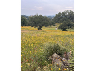 This corner lot is perfect for your dream home. It sits high and - photo 13