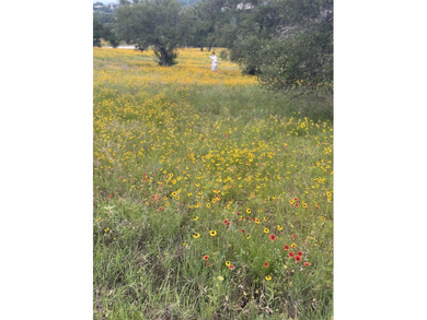 This corner lot is perfect for your dream home. It sits high and - photo 15