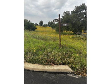 This corner lot is perfect for your dream home. It sits high and - photo 16