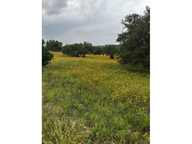 This corner lot is perfect for your dream home. It sits high and - photo 18