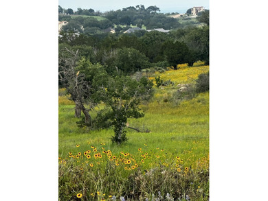 This corner lot is perfect for your dream home. It sits high and - photo 19