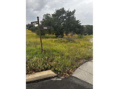 This corner lot is perfect for your dream home. It sits high and - photo 20