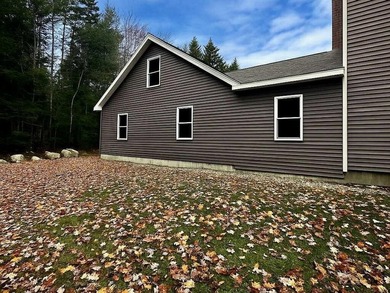 This 3 Bedroom, 2 Bath home on Bog Lake in Northfield sits on a - photo 8