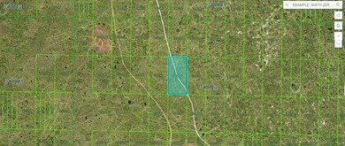 Reedy Lake Lot For Sale in Frostproof Florida