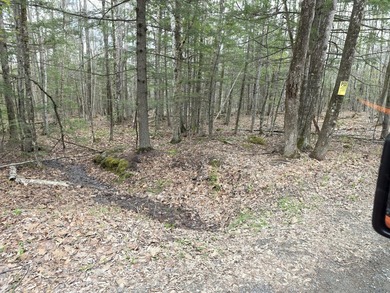 Nice 3-acre wooded parcel to build your dream home - photo 1