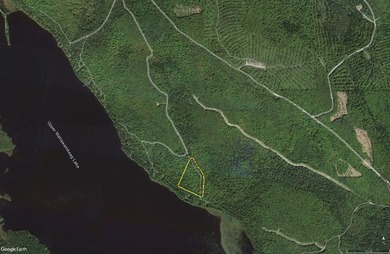 11.57 surveyed acres with 15 feet of deeded lakefront on - photo 2