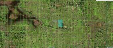 Nice opportunity to own 1.27 acres of vacant  land in Frostproof - photo 3