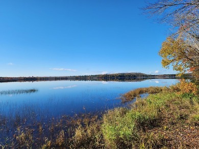 11.57 surveyed acres with 15 feet of deeded lakefront on - photo 3