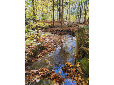 11.57 surveyed acres with 15 feet of deeded lakefront on - photo 5