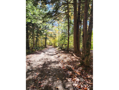 11.57 surveyed acres with 15 feet of deeded lakefront on - photo 6