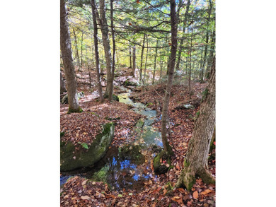 11.57 surveyed acres with 15 feet of deeded lakefront on - photo 7