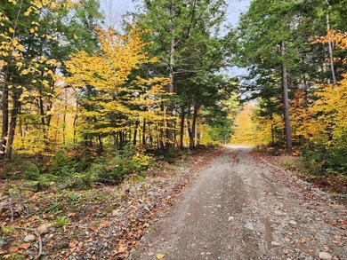 11.57 surveyed acres with 15 feet of deeded lakefront on - photo 8