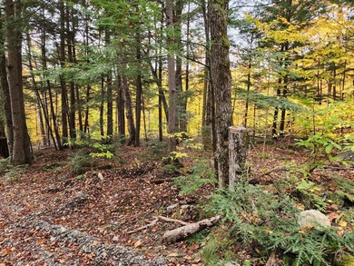 11.57 surveyed acres with 15 feet of deeded lakefront on - photo 9