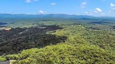 (private lake, pond, coastal) Acreage For Sale in Ball Ground Georgia