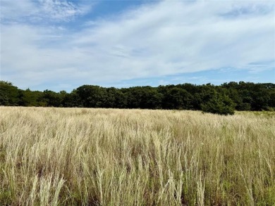 Lake Acreage For Sale in Saint Jo, Texas