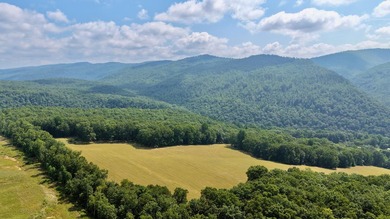 Escape to your own slice of paradise on 61 beautiful acres - photo 34