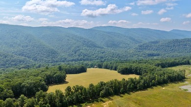 Escape to your own slice of paradise on 61 beautiful acres - photo 36