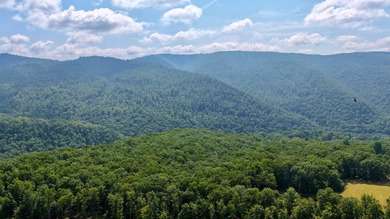 Escape to your own slice of paradise on 61 beautiful acres - photo 37