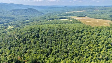 Escape to your own slice of paradise on 61 beautiful acres - photo 40
