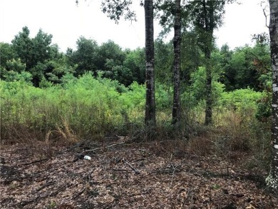 Moss Lake Lot For Sale in Sulphur Louisiana