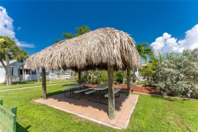 Huge Price reduction $259,950 Welcome to Windmill Village 55+ - photo 41