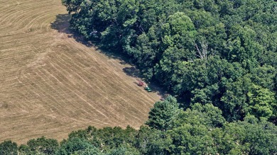 Escape to your own slice of paradise on 61 beautiful acres - photo 44