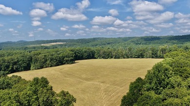 Escape to your own slice of paradise on 61 beautiful acres - photo 47