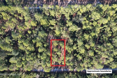 Lake Lot For Sale in Georgetown, Florida