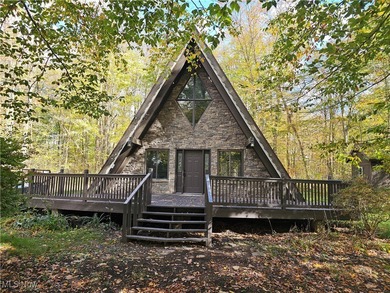 Lake Home For Sale in Roaming Shores, Ohio