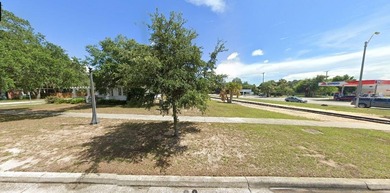 Great opportunity to own 1.49 acres of vacant  land in Lake - photo 2