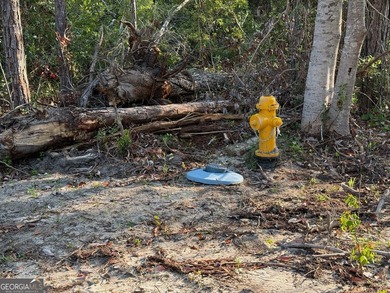 Welcome to this .72-acre residential lot located on Steven - photo 12
