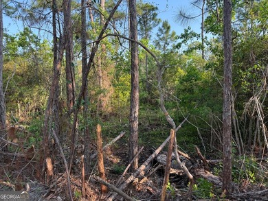 Welcome to this .72-acre residential lot located on Steven - photo 14