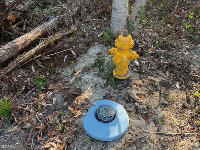 Welcome to this .72-acre residential lot located on Steven - photo 15