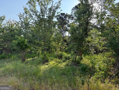 Welcome to this .72-acre residential lot located on Steven - photo 18