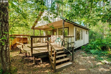 Lake Home For Sale in Cougar, Washington