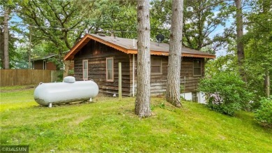 Lake Home For Sale in Stanford Twp, Minnesota