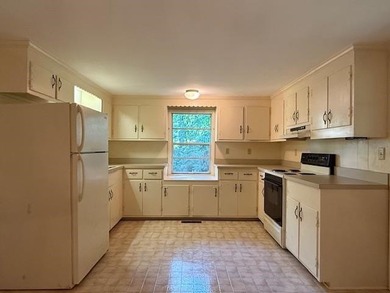 Nice Chalet Style 2 Bedroom, 2 Bath Home Overlooking Lake Louisa - photo 5