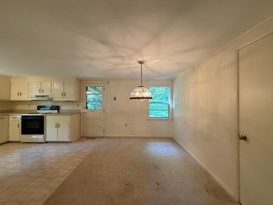 Nice Chalet Style 2 Bedroom, 2 Bath Home Overlooking Lake Louisa - photo 7