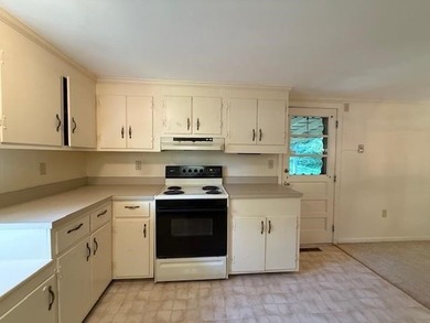 Nice Chalet Style 2 Bedroom, 2 Bath Home Overlooking Lake Louisa - photo 8
